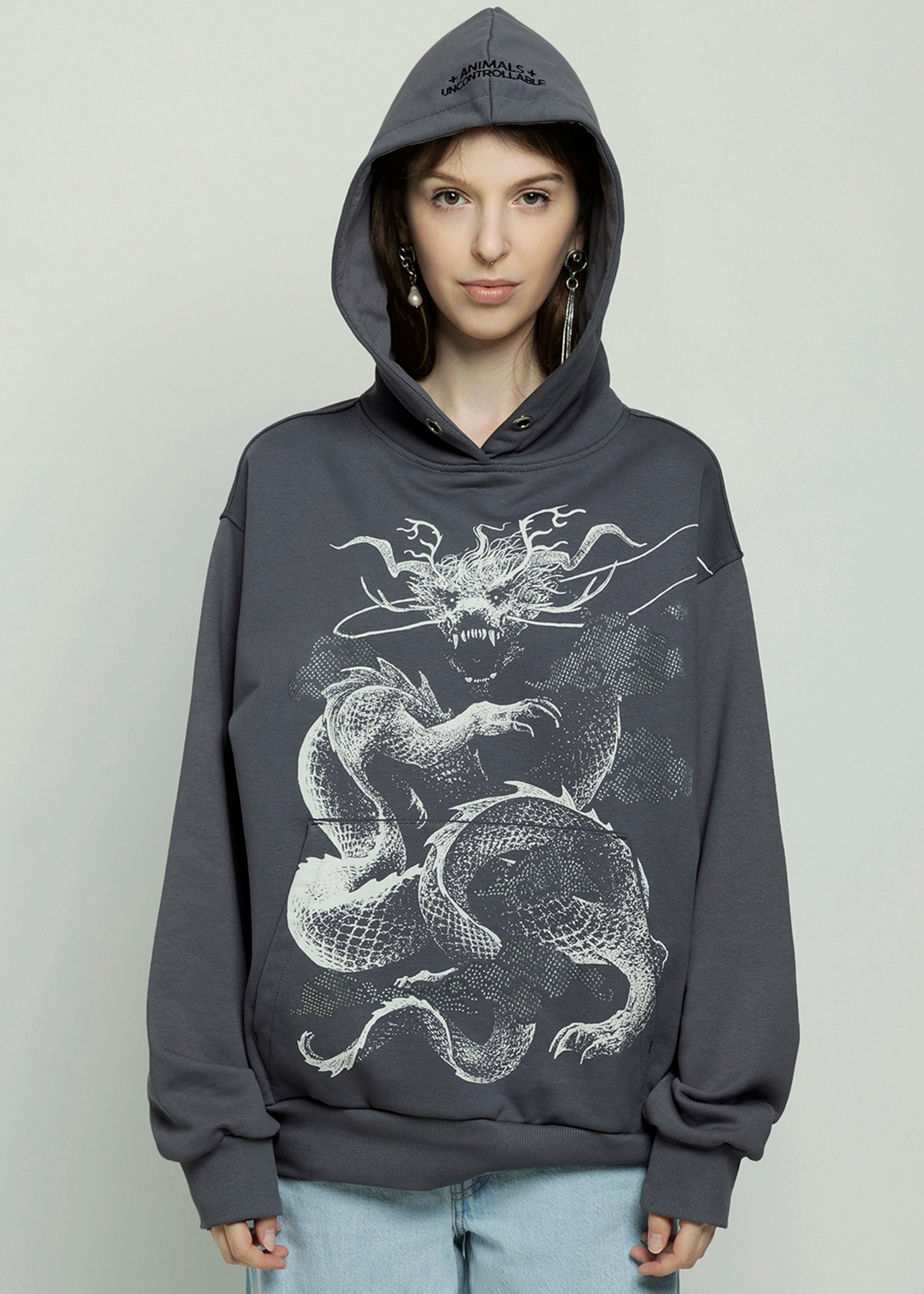 DRAGON grey hoodie